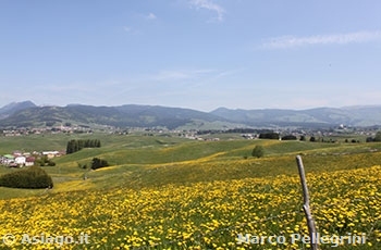 Escursione presso le contrade sud di Asiago Guide Altopiano