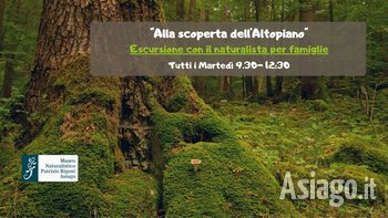 Alla scoperta dell'Altopiano