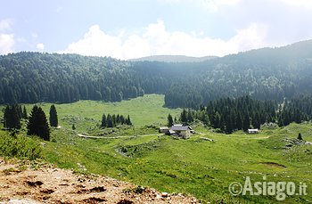 Altopiano di Asiago escursione guidata