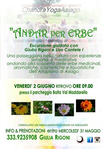 Andar per erbe - Escursione guidata sull'Altopiano di Asiago - 2 giugno 2017