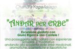 Escursione "ANDAR PER ERBE" sull'Altopiano di Asiago con Giulia Rigoni e Lisa Cantele - 2 giugno 2017