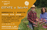 Guided excursion "ANDAR PER ERBE" in Mezzaselva - 1 August 2021