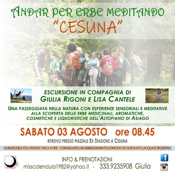 Andar per erbe meditando a Cesuna - 3 agosto 2019