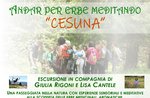 "ANDAR FOR ERBE MEDITANDO" - Exkursion auf das Asiago Plateau mit Giulia Rigoni und Lisa Cantele - 3. August 2019