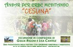 "ANDAR FOR ERBE MEDITANDO" - Excursion on the Asiago Plateau with Giulia Rigoni and Lisa Cantele - 3 August 2019