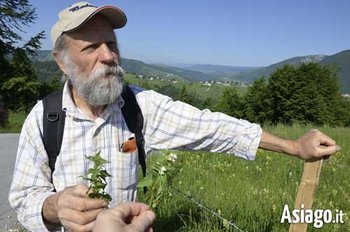 Alla Scoperta delle Piante Medicinali, Aromatiche, Liquoristiche e Cosmetiche