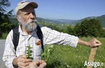 Visita all'orto di Via Busa ad Asiago con l'esperto Antonio Cantele - 19 agosto 2017