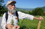 Visita all'orto delle piante coltivate, aromatiche e medicinali di Asiago con Antonio Cantele - 7 agosto 2022