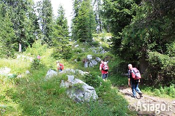 Asiago Guide Val di Nos Asiago Guide Val di Nos