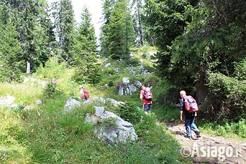 Asiago Guide Val di Nos