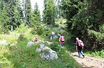 Escursione guidata nella natura della Val di Nos con Asiago Guide