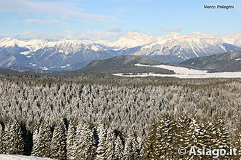 Ciaspolata sull'Altopiano di Asiago