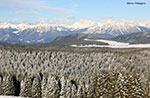 Snowshoe hike to Verena, January 18, 2014 Plateau Guide