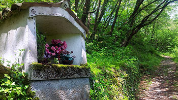 Camminata mariana in Val dei Ronchi