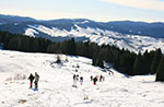 Schneeschuhe Ausflug zum Fort mit Guide, 28. Dezember 2013