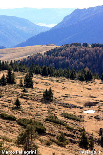 Escursione a Cima Larici con Guide Altopiano