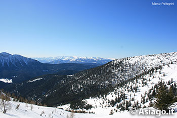 Cima Larici - Altopiano di Asiago