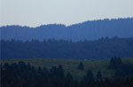 Guided hike with Guide Larch Summit plateau, Saturday July 20