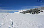 Snowshoe hike to the Summit Plateau with Mandriolo, January 3, 2014