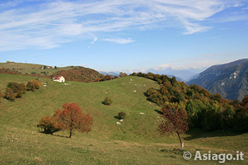 Escursione guidata Cima Valbella con Guide Altopiano