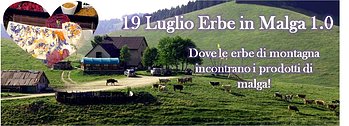 Erbe in malga Asiago Guide