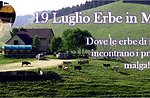 Escursione "Erbe in Malga 1.0" Asiago Guide, 19 luglio 2015