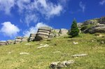 Escursione guidata al Monte Fior - Foza, 11 luglio 2021
