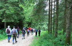 Escursione Altopiano di Asiago