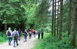 Ausflug nach Knotto, Altar von Roana Mezzaselva Sonntag, 19. Juli 2015