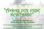 "ANDAR PER HERBS MUSING"-Excursion on the Asiago plateau with Giulia Rigoni and Lisa Calhoun-July 30, 2017