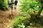 Spaziergang mit Begleitpersonen in Camporovere 18. August 2016, Hochebene von Asiago