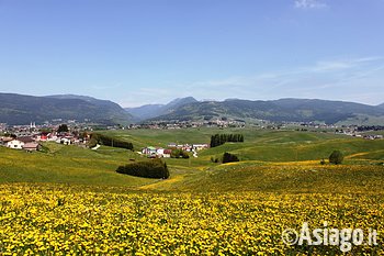 Escursione i luoghi di Mario Rigoni Stern Asiago