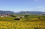 "The Mario Rigoni Stern, Asiago, Asiago plateau