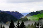 Guided hike through history and nature in VAL d ASSA, ASIAGO GUIDE, July 9, 2016