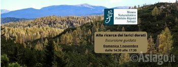 Escursione larici Museo naturalistico