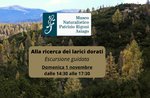 Escursione alla ricerca dei larici dorati - 1 novembre 2020