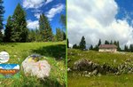 "Net kheese anloan - Not just cheese" - Guided excursion to Malga Fiara - 7 August 2020