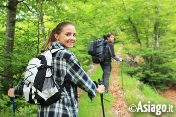 Passeggiata di gruppo sull'Altopiano di Asiago