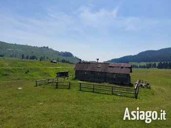 Escursione nella Piana di Marcesina 