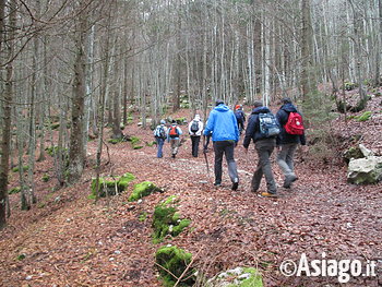 Escursione Rifugio Bar Alpino Escursione Rifugio Bar Alpino