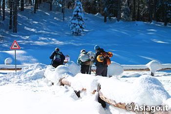 Escursione Invernale Giornata Famiglie Rifugio Bar Alpino