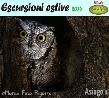 Escursione serale Rapaci Notturni - Rifugio Bar Alpino, Estate 2014 Escursione serale Rapaci Notturni - Rifugio Bar Alpino, Estate 2014