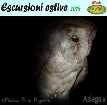 Escursione serale Rapaci Notturni - Rifugio Bar Alpino, Estate 2014 Escursione serale Rapaci Notturni - Rifugio Bar Alpino, Estate 2014