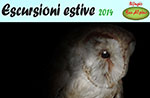 Evening excursion NOCTURNAL BIRDS of PREY, summer Alpine Bar hut, 20 September