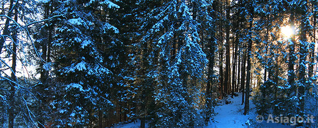 Ciaspolate Rifugio Bar Alpino