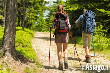 Passeggiata con accompagnatori a Camporovere