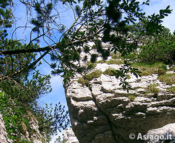 Escursione Guidata ai Castelloni di S. Marco