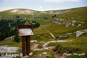 Escursione Guidata a Malga Slapeur - Monte Fior