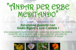 "Going FOR HERBS MEDITANDO"-excursion on the plateau of Asiago with Giulia Rigoni and Lisa Cantele-2 June 2019