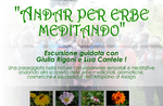 "ANDAR PER ERBE MEDITANDO"- Escursione sull'Altopiano di Asiago con Giulia Rigoni e Lisa Cantele - 2 giugno 2019